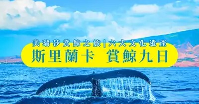 斯里蘭卡賞鯨9日- 美瑞莎賞鯨之旅+六大文化遺產，超超超值之旅