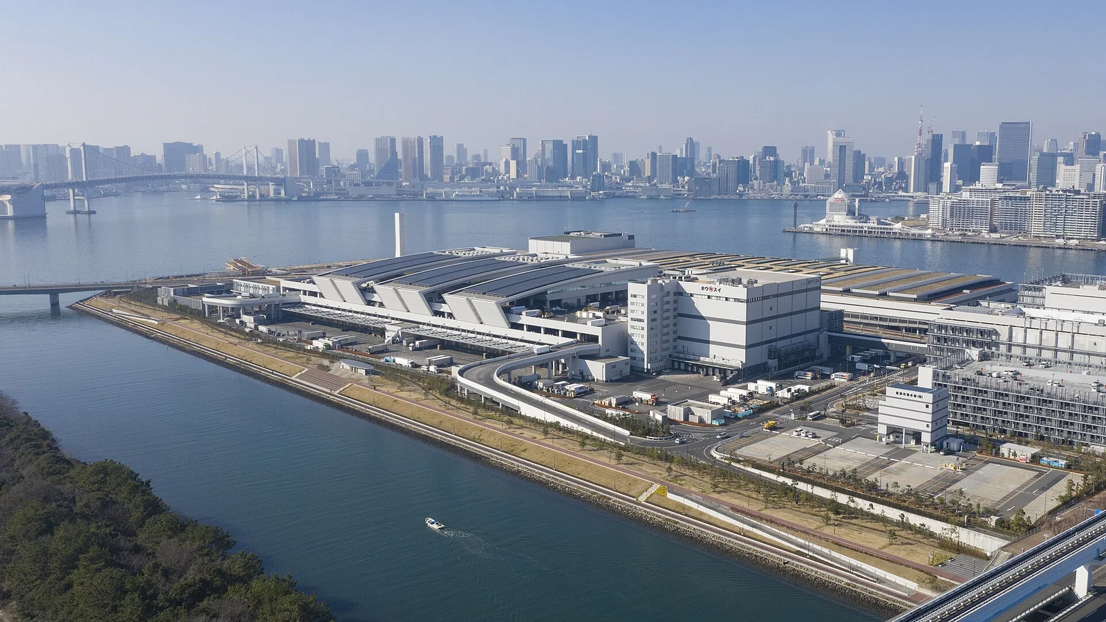 2024年豐洲市場休市日全解析！避開這些日期安排你的行程